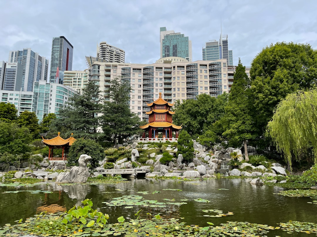 Photo garden landscaping