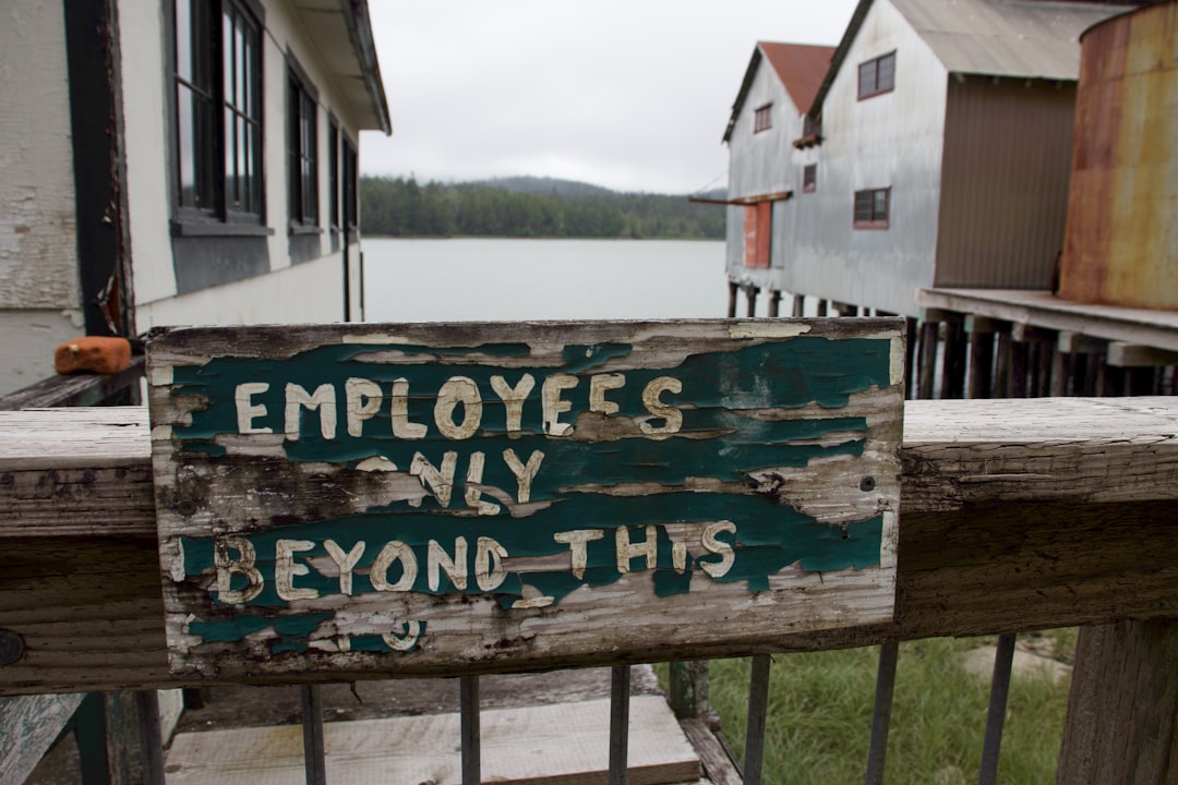 Photo joburi bine plătite online