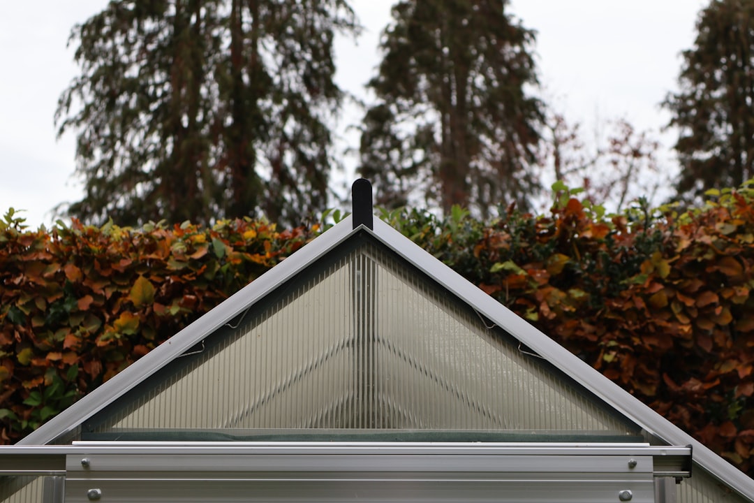 Photo gardening urban