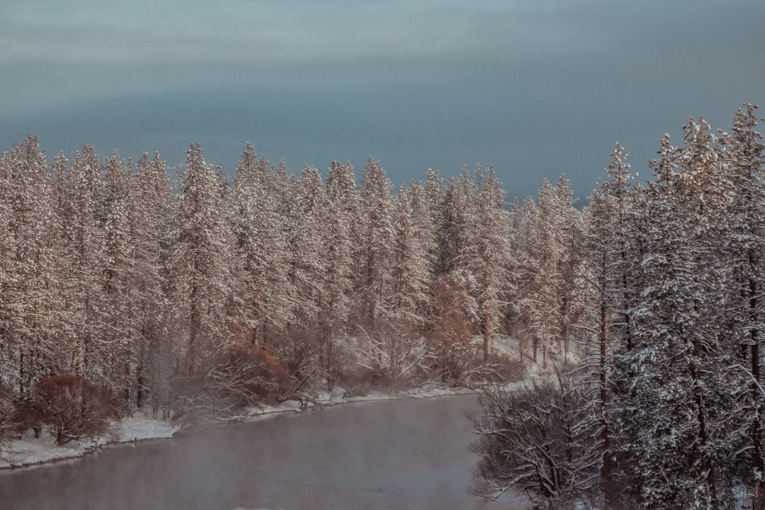 Photo cauciucuri de iarnă