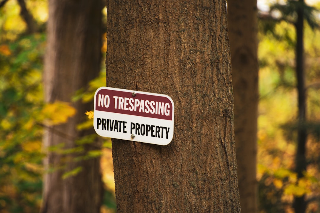Photo intellectual property