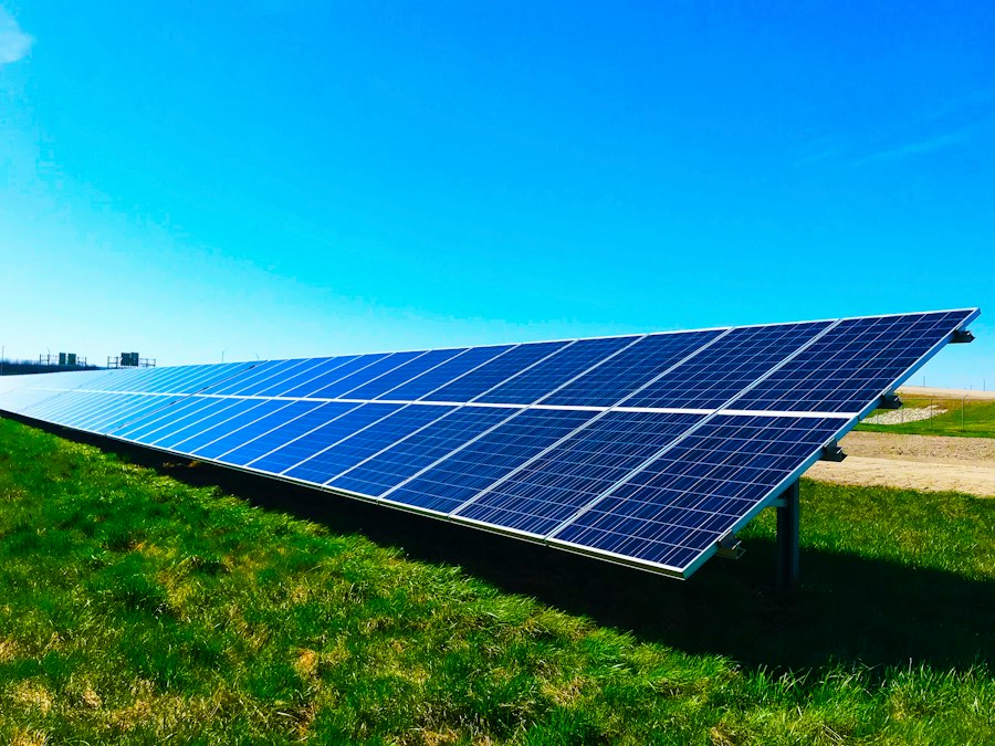 sustainability