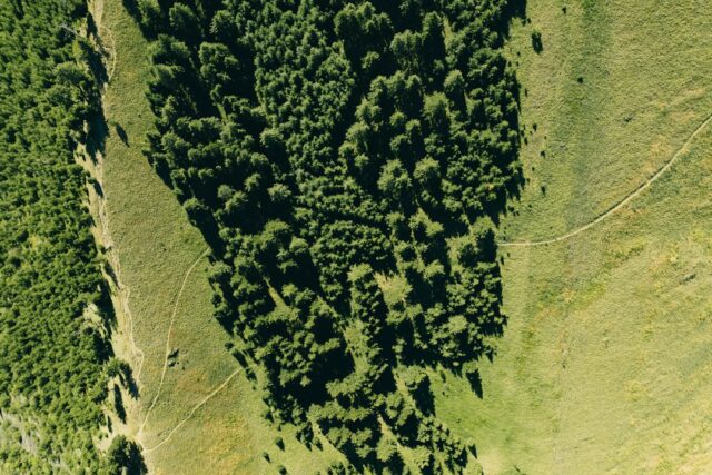 Photo carbon footprint